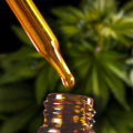 Why does cbd oil cost so much?