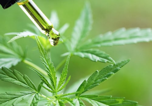 What cbd oil has the most thc?